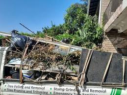 Best Foreclosure Cleanout  in Archie, MO